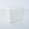 Caixa de isopor P