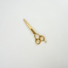 Tesoura Profissional Dourada MQ