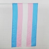 Bandeira Trans