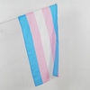 Bandeira Trans