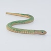 Cobra de Madeira Verde