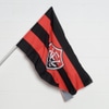 Bandeira Vitória Futebol Clube