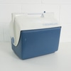 Cooler Mini Branco e Azul Termolar 12L