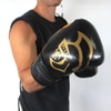 Par de Luva de Boxe Muay Thai Luva Black Line Pretorian