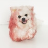 Cachorro Cenográfico com Sangue