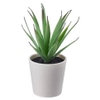 Planta suculenta artificial vaso branco