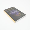 Livro No Banco dos Réus, Um Índio