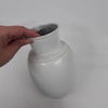 Moringa de Alumínio Branco 2L
