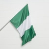 Bandeira Nigéria
