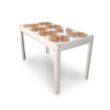 Mesa de Jantar em Madeira Pintada com Tampo de Azulejos
