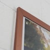 Quadro Foto Crianças no Parque